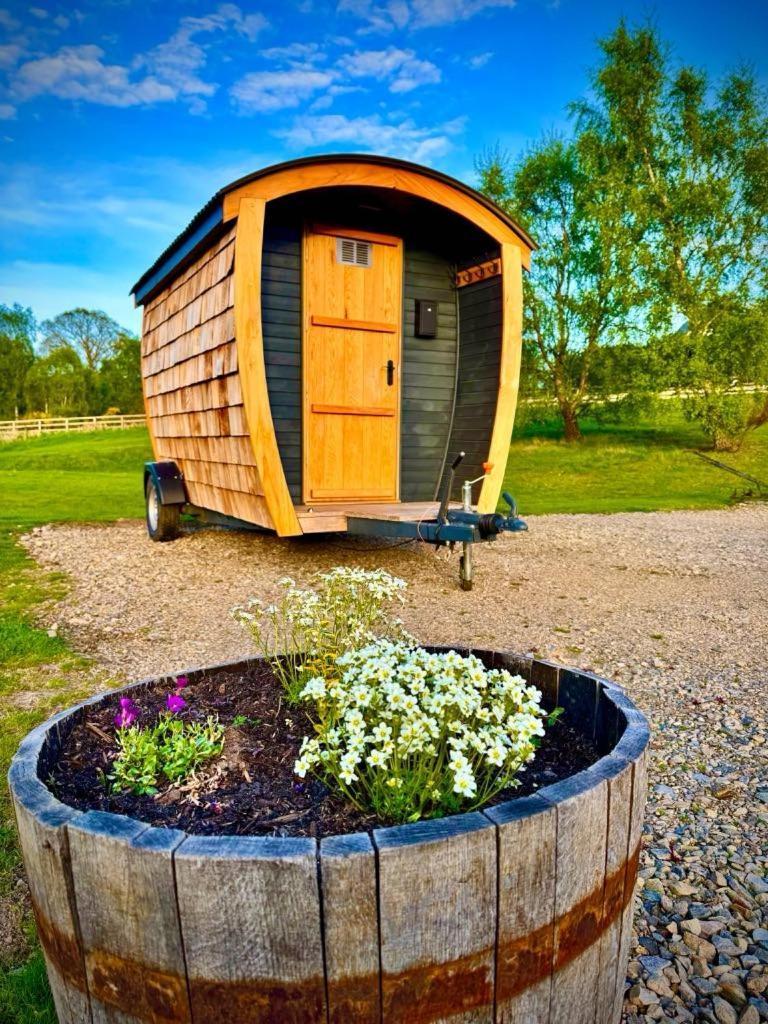 Newmore Highland Pods With Hot Tubs On Nc500 Holiday home Invergordon